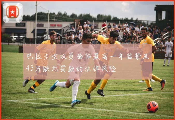 巴拉圭女议员面临最高一年监禁及45万欧元罚款的法律风险