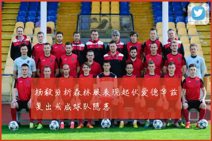 杨毅分析森林狼表现起伏爱德华兹复出或成球队隐患